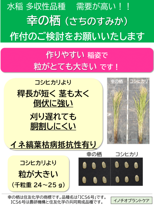 業務用米作付けの募集 | イノチオプラントケア株式会社
