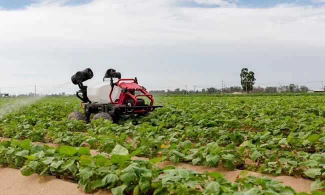 R150-field-650x390.jpg.webp