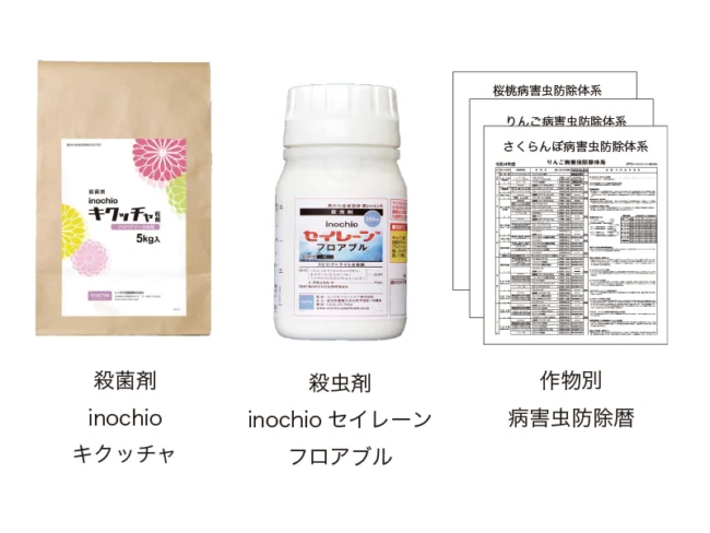 products01-650x488.jpg.webp